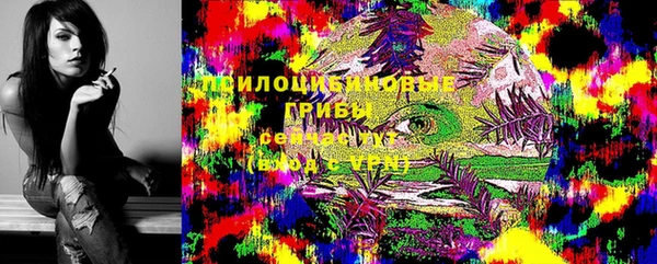бутират Горнозаводск